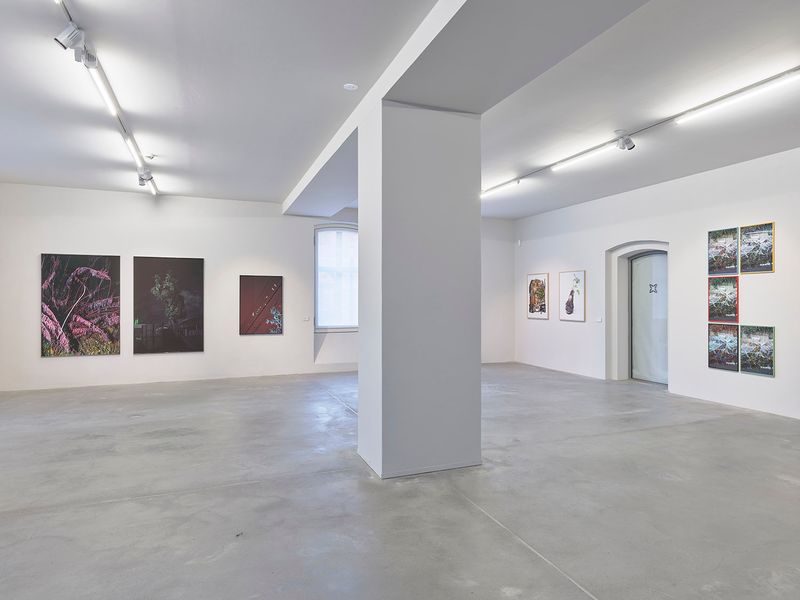 © Grażyna Siedlecka - AUSNAHMEZUSTAND installation view, courtesy ZAK Zentrum für Aktuelle Kunst, Berlin. Photo by Eric Tschernow