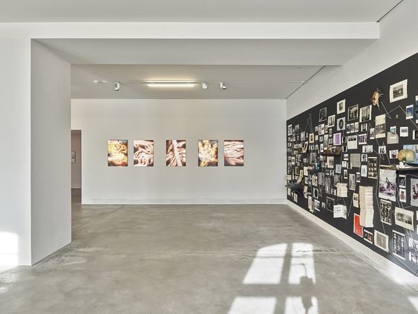 © Grażyna Siedlecka - AUSNAHMEZUSTAND installation view, courtesy ZAK Zentrum für Aktuelle Kunst, Berlin. Photo by Eric Tschernow