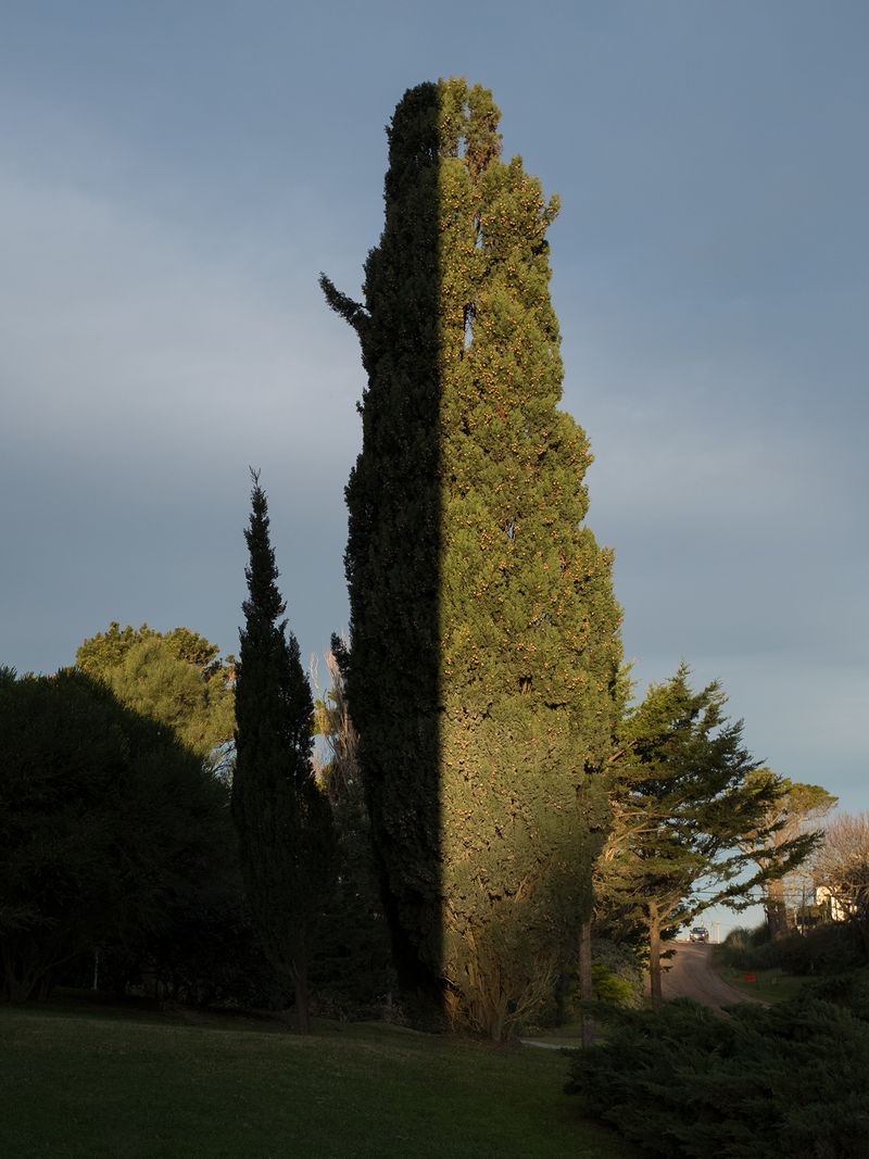 © José De Rocco - Image from the The secret of things photography project