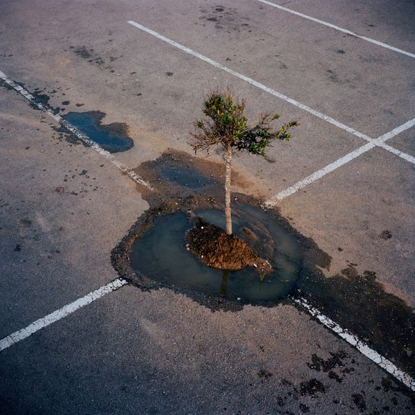 © John-Alex - Mikeva Hyper Cash and Carry Car Park, Mossel Bay