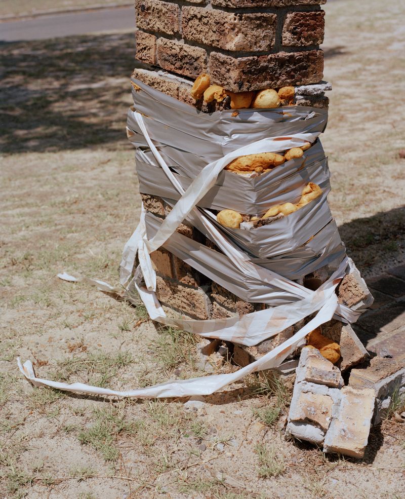 © John-Alex - Poorly Mended Bus Stop, Pinelands