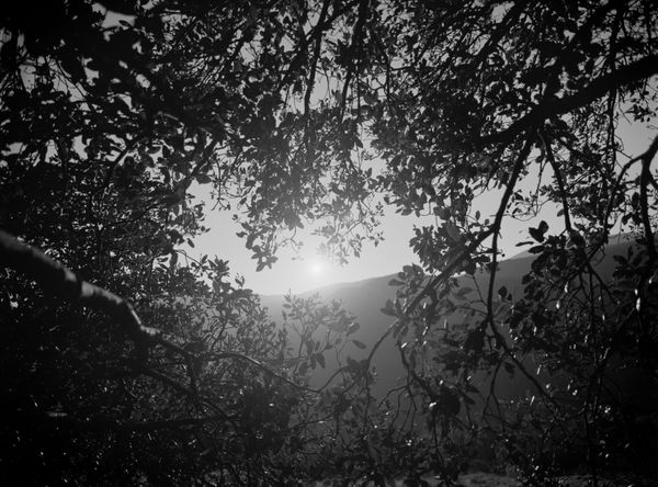 © Enzo Castellucci - Image from the Come spirto in un'ampolla photography project