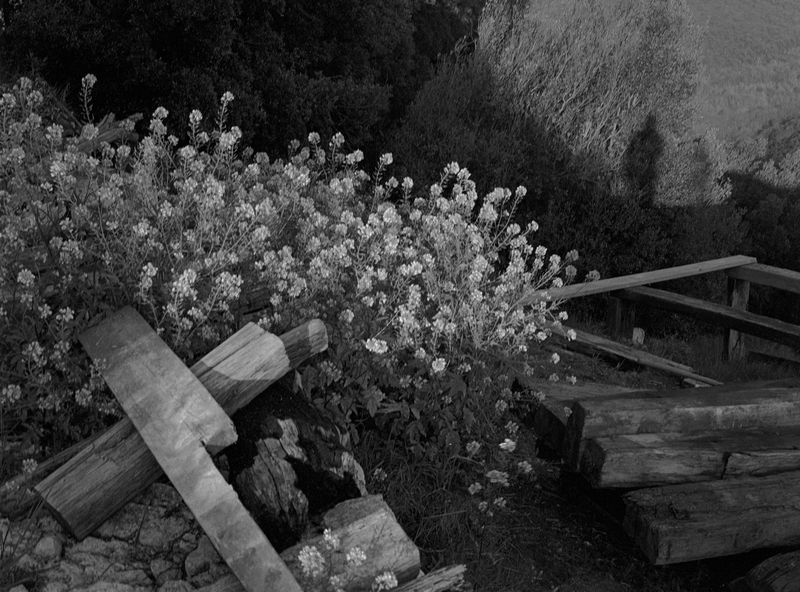 © Enzo Castellucci - Image from the Come spirto in un'ampolla photography project