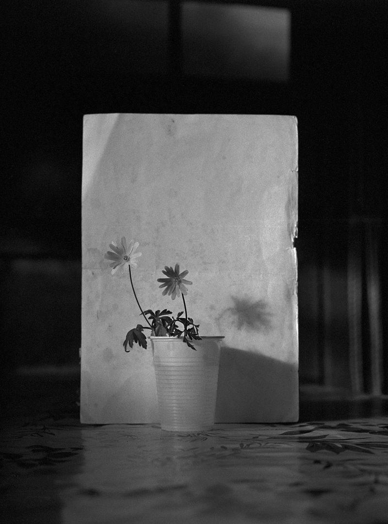 © Enzo Castellucci - Image from the Come spirto in un'ampolla photography project