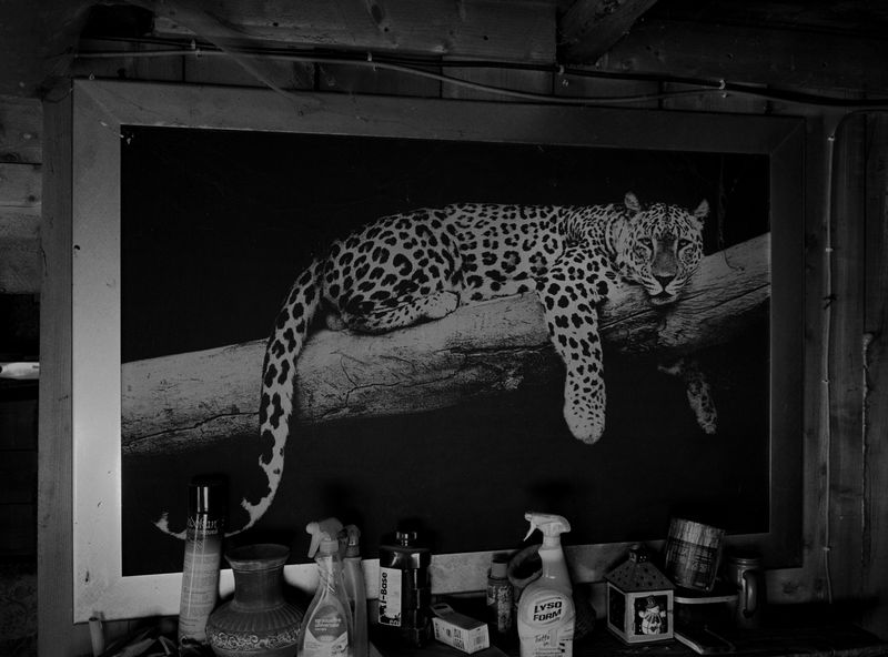 © Enzo Castellucci - Image from the Come spirto in un'ampolla photography project
