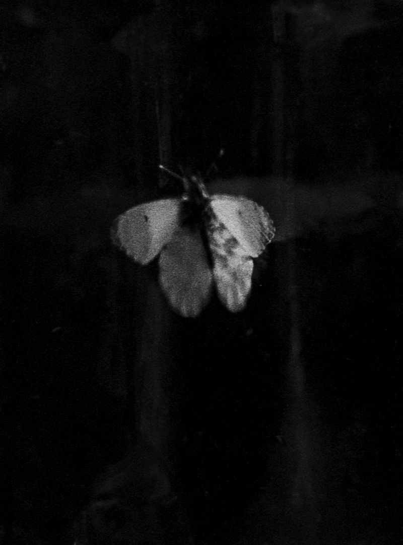 © Enzo Castellucci - Image from the Come spirto in un'ampolla photography project