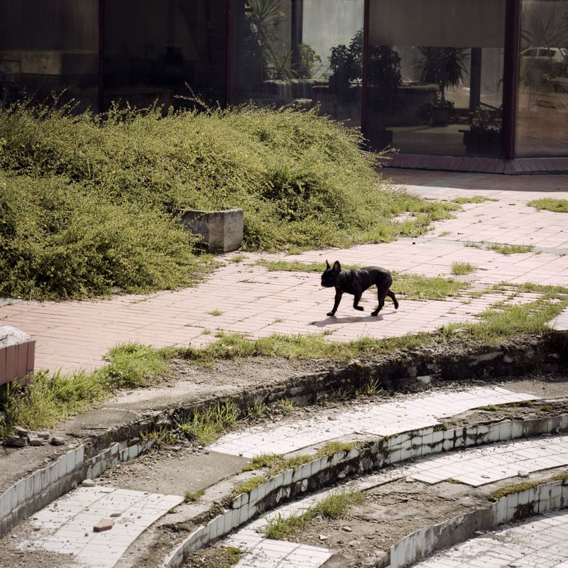 © Xiaofu Wang - Image from the The Tower photography project