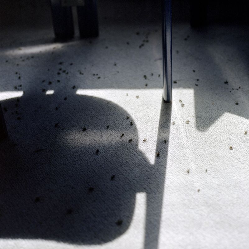 © Xiaofu Wang - Image from the The Tower photography project