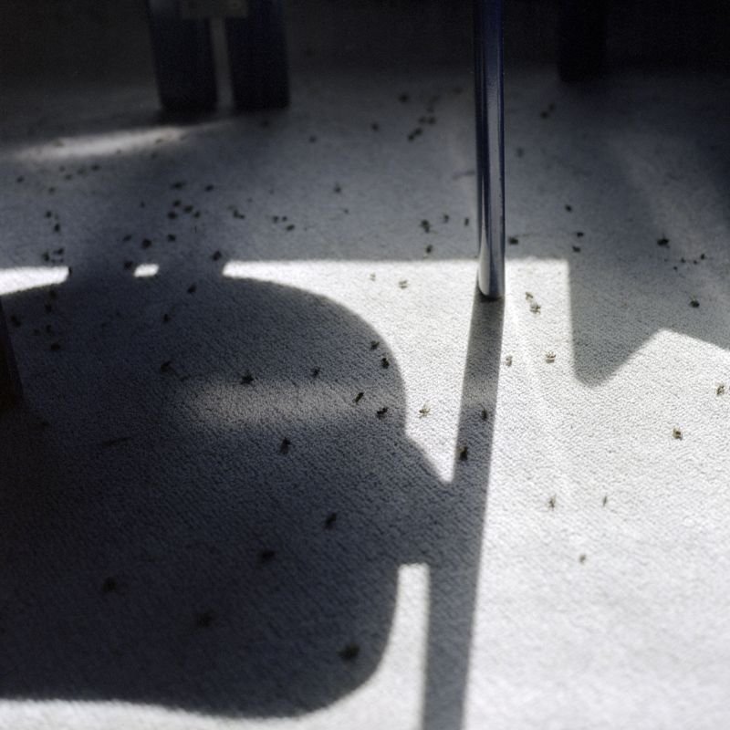 © Xiaofu Wang - Image from the The Tower photography project