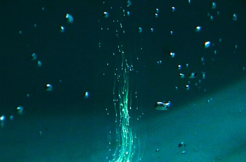 © yingying gao - Image from the 异常气候 photography project