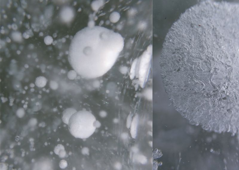 © yingying gao - Image from the Karmic Web photography project