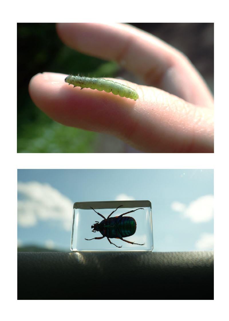 © yingying gao - Image from the Karmic Web photography project