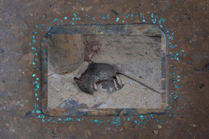 © yingying gao - Image from the Karmic Web photography project