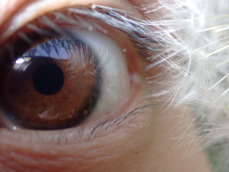 © yingying gao - Image from the Karmic Web photography project