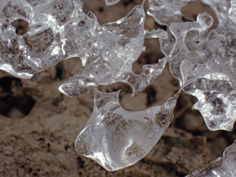 © yingying gao - Image from the Karmic Web photography project