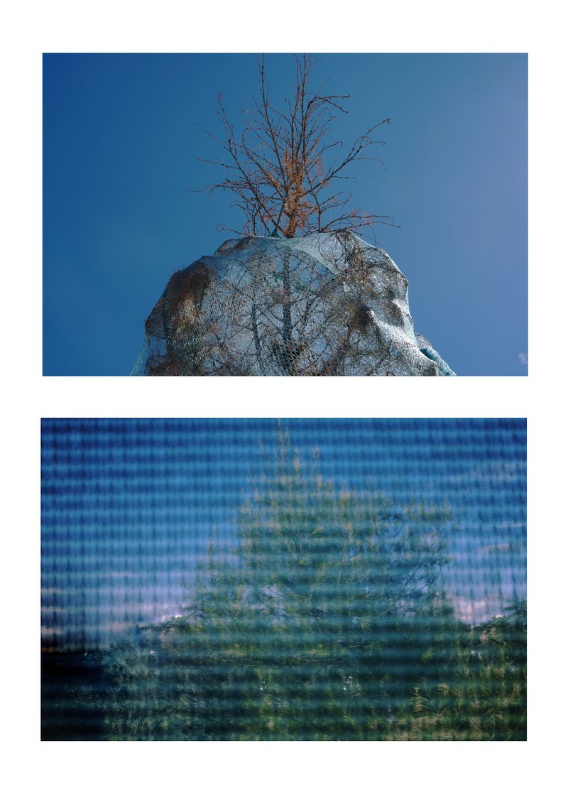 © yingying gao - Image from the Karmic Web photography project