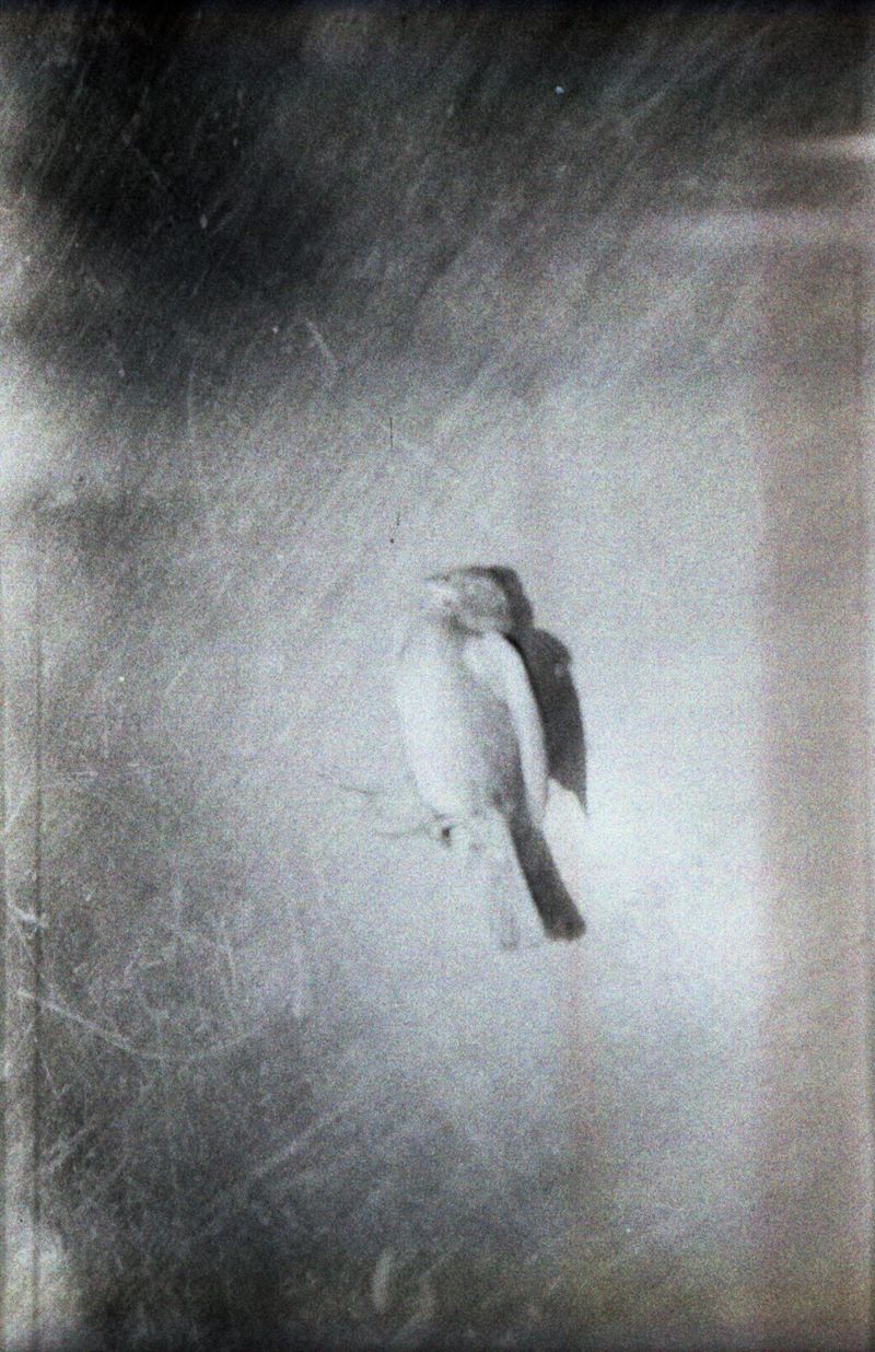 © Eric Allende - Image from the Two Sundays photography project