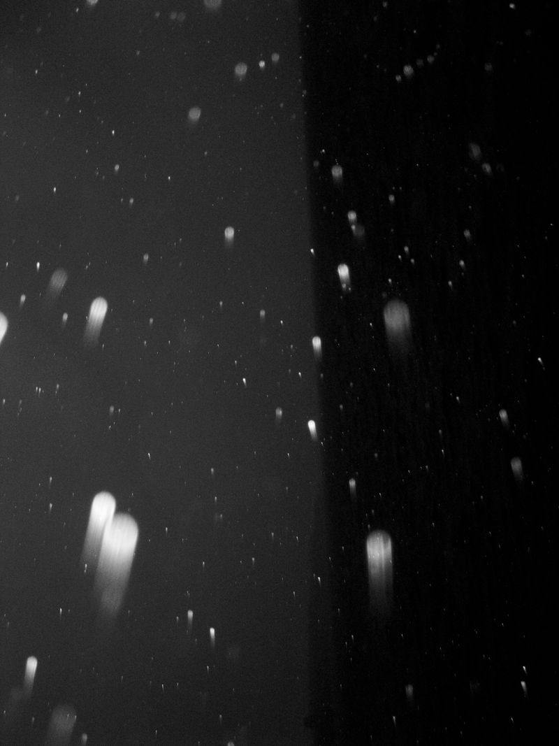 © Eric Allende - Landscape of a river in Chiloe, Chile.