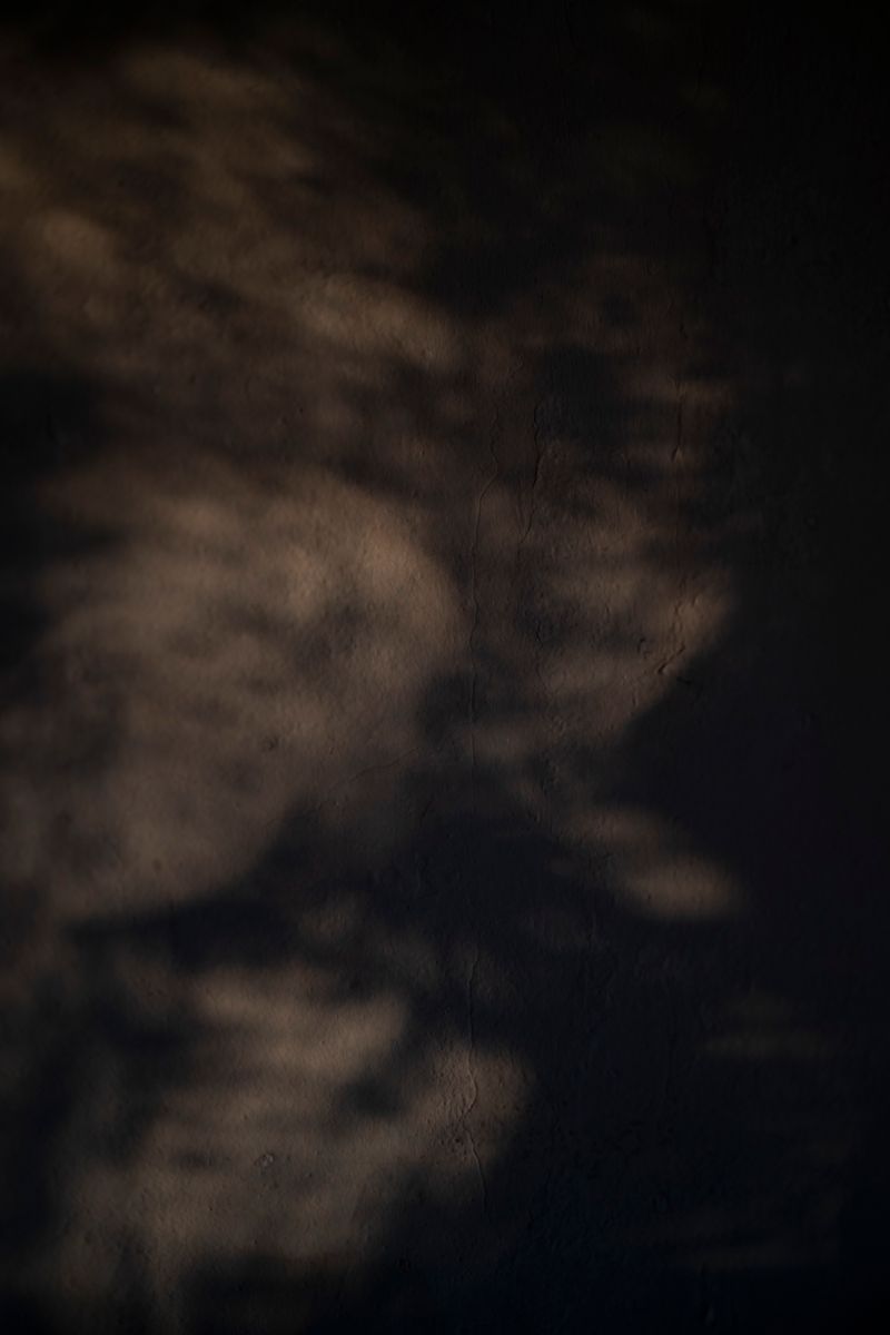 © Eric Allende - Wall of a room in the house where the nine González Muñoz siblings lived during the dictatorship.