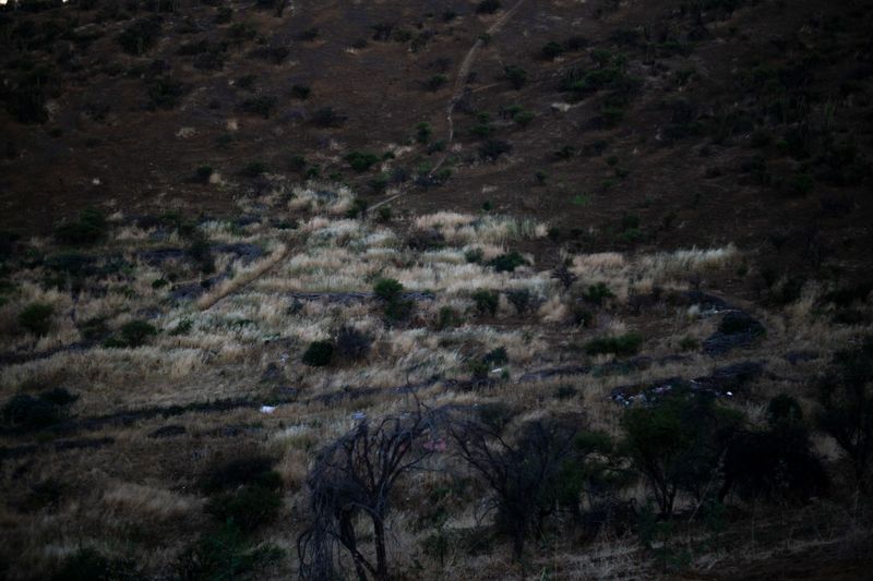 © Eric Allende - Image from the In my dreams, amaranth bloomed. photography project