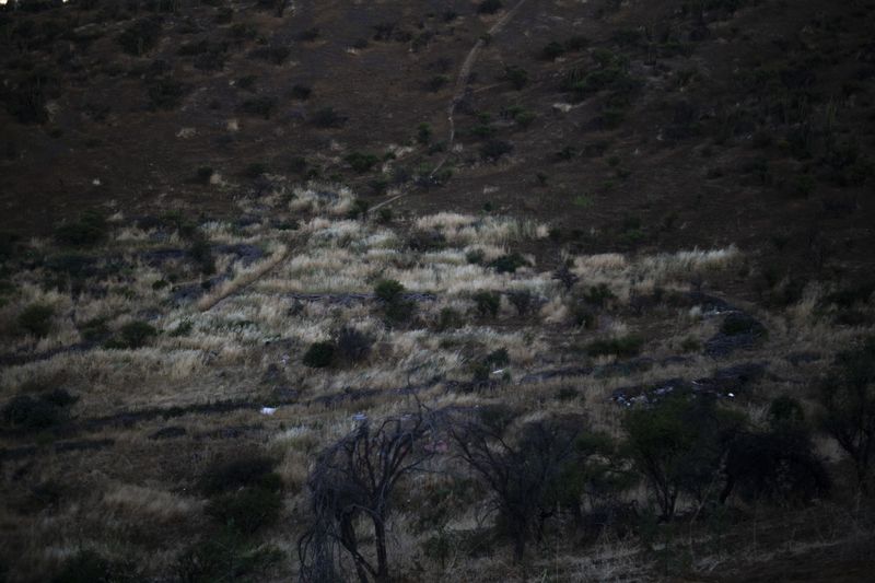 © Eric Allende - Image from the In my dreams, amaranth bloomed. photography project