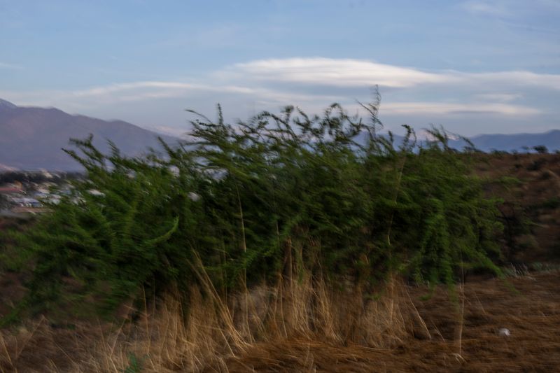 © Eric Allende - Image from the En mis sueños el amaranto floreció photography project