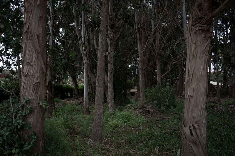 © Eric Allende - Image from the 226 photography project