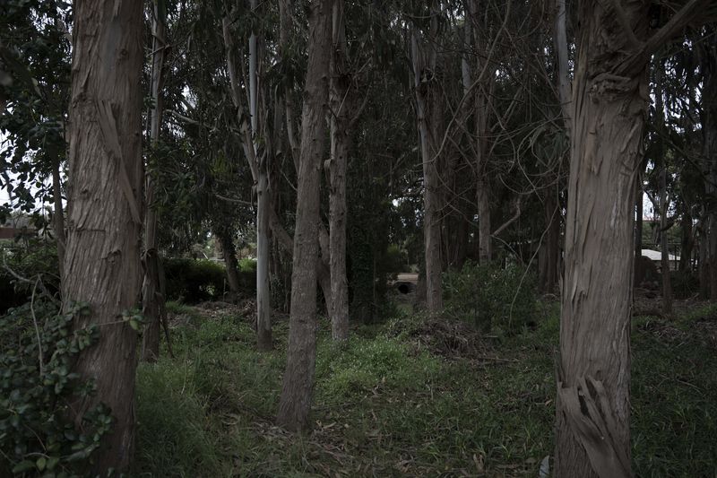 © Eric Allende - Image from the 226 photography project