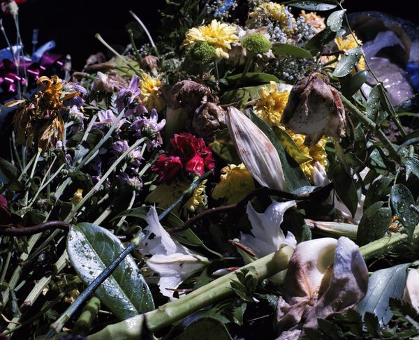 © Piotr Karpinski - Image from the Death No.1 photography project
