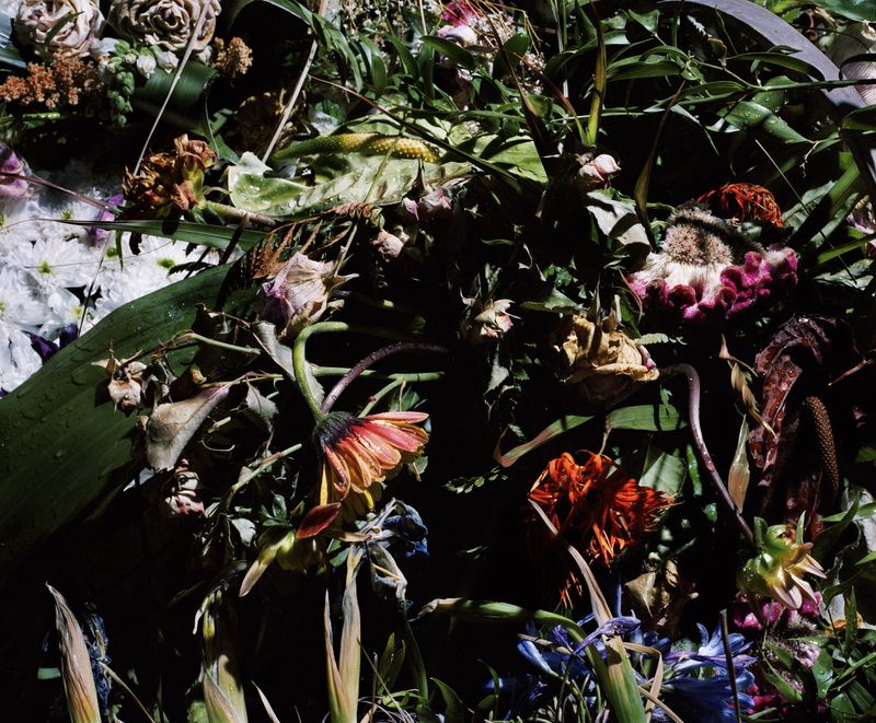 © Piotr Karpinski - Image from the Death No.1 photography project