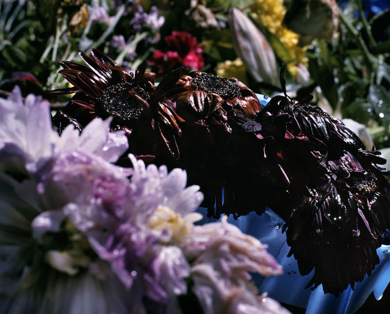 © Piotr Karpinski - Image from the Death No.1 photography project