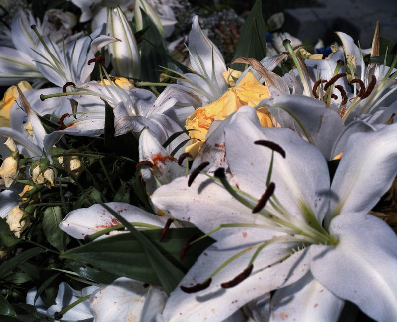© Piotr Karpinski - Image from the Death No.1 photography project