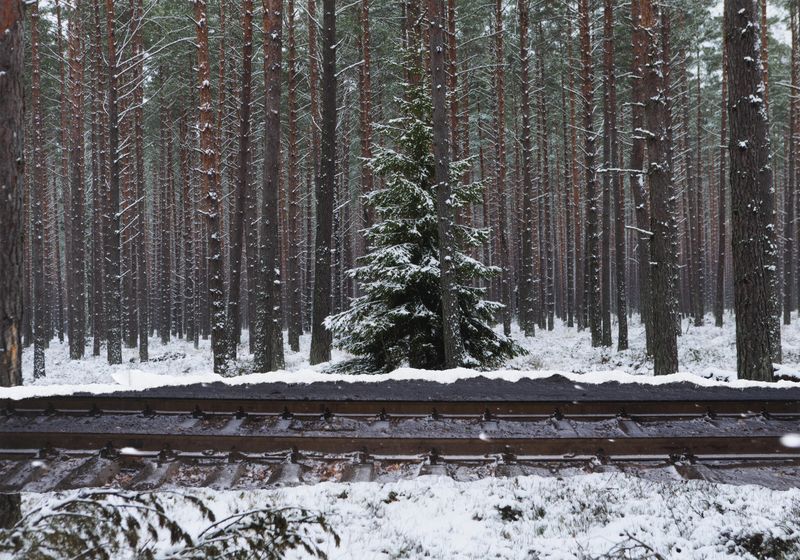 © Elena, Leonidas Kollatou, Toumpanos - Image from the Where do we not belong photography project