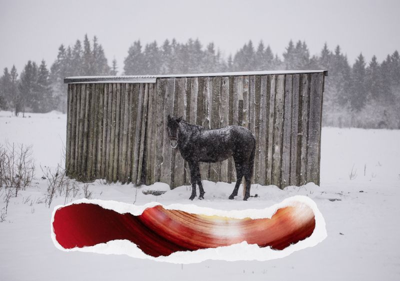 © Elena, Leonidas Kollatou, Toumpanos - Image from the Where do we not belong photography project