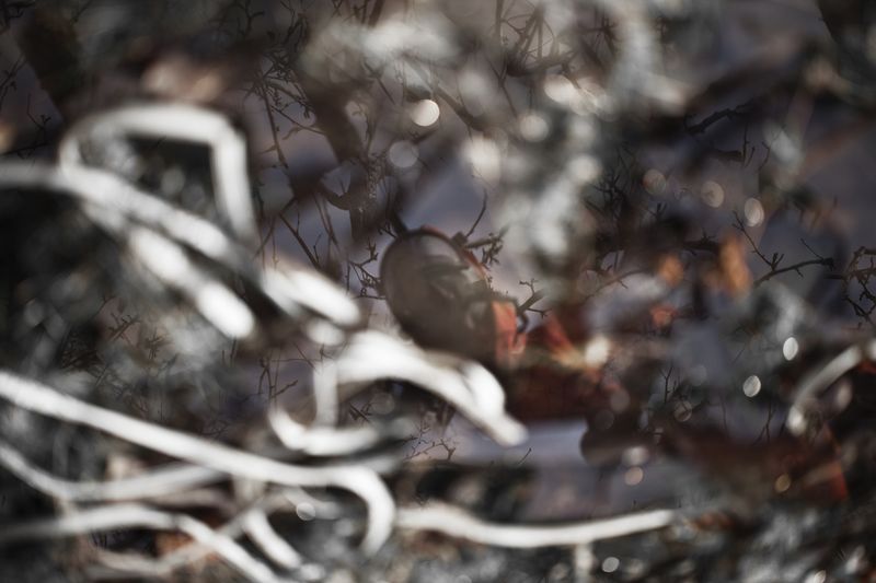 © Elena, Leonidas Kollatou, Toumpanos - Image from the Ten thousand suns photography project