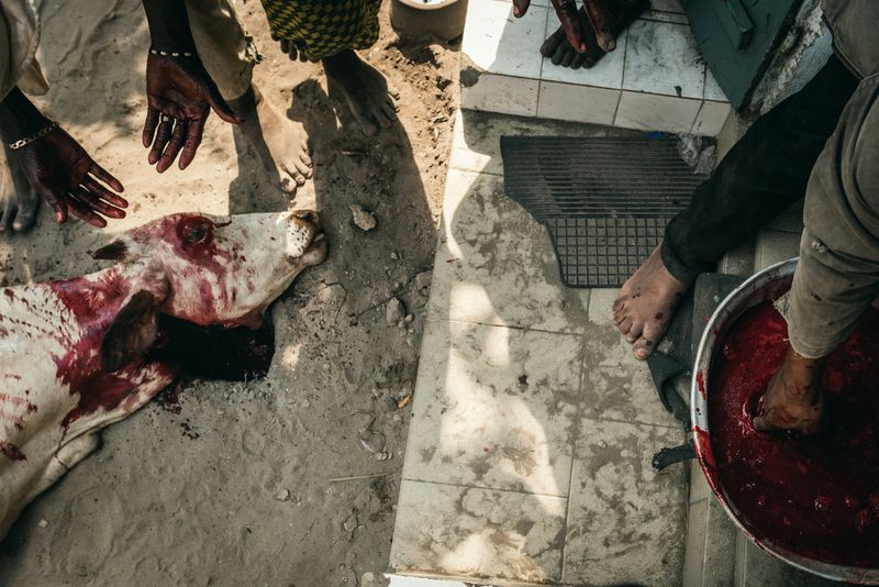 © Lucia Perrotta - Image from the Celebrating Vodun photography project