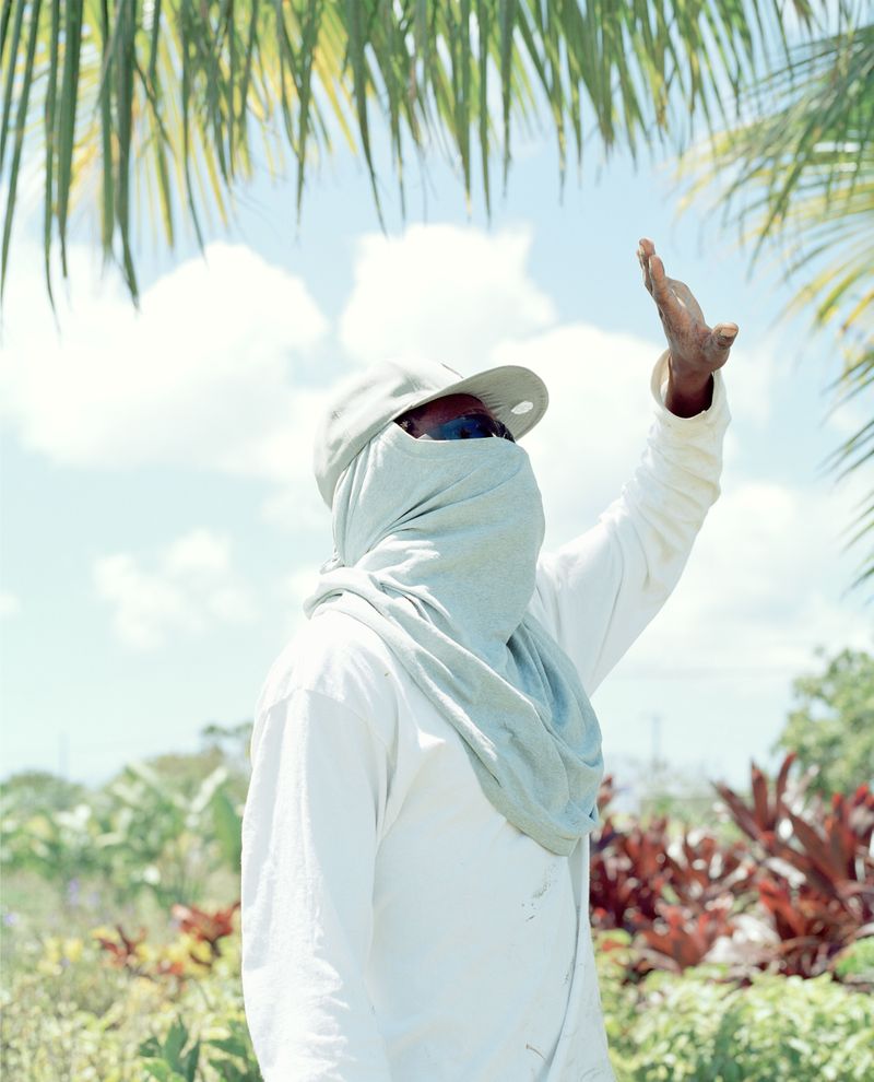 © Catherine Hyland - Image from the  'Wait-And-See Pudding with Patience Sauce' photography project