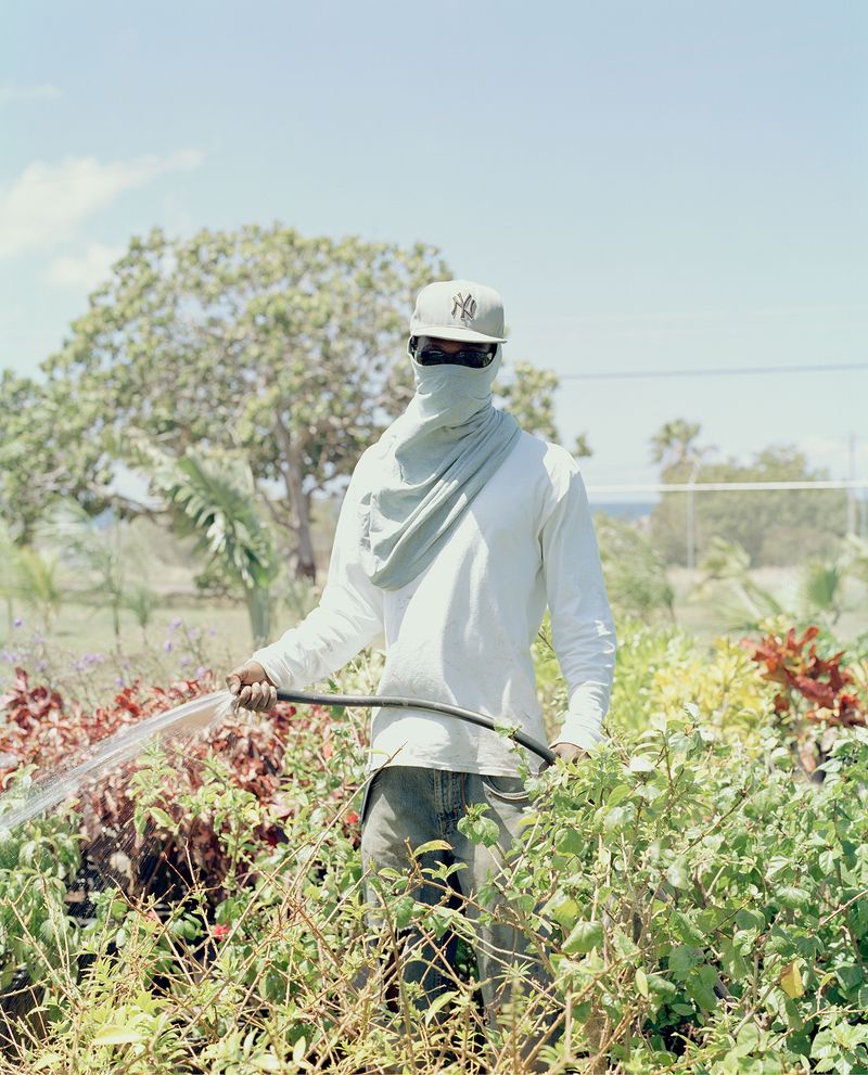 © Catherine Hyland - Image from the  'Wait-And-See Pudding with Patience Sauce' photography project