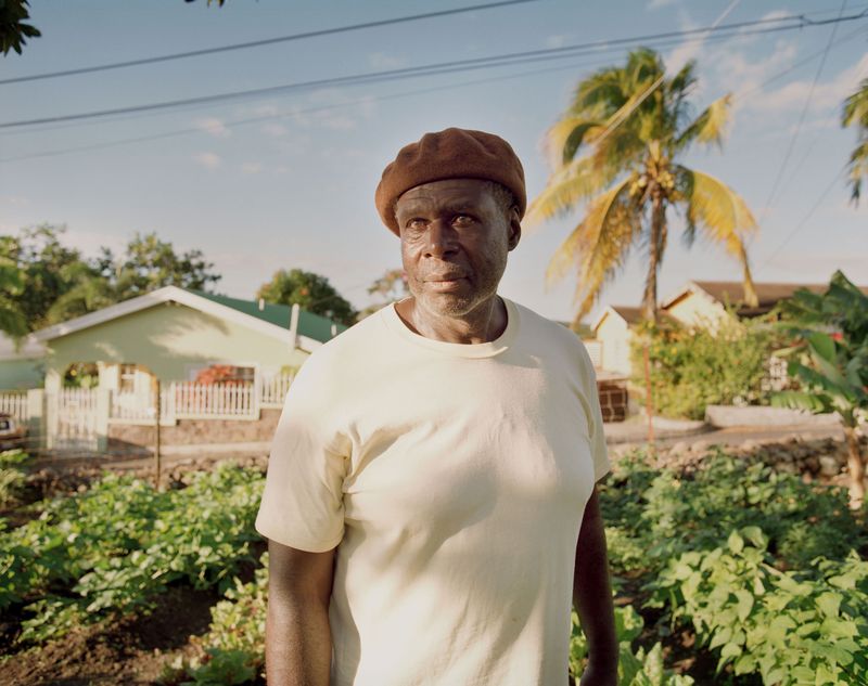 © Catherine Hyland - Image from the  'Wait-And-See Pudding with Patience Sauce' photography project