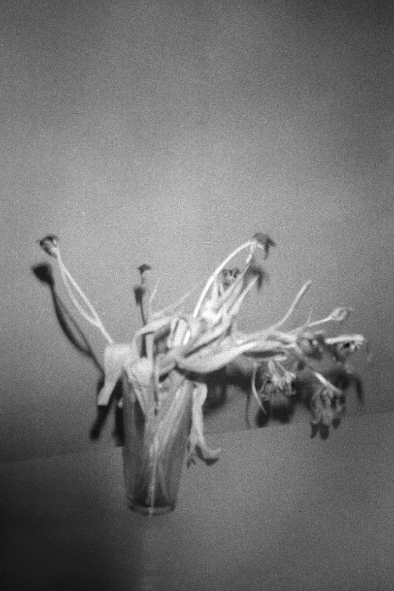 © Youvalle Levy - Image from the Moonlighting : traces and found objects photography project