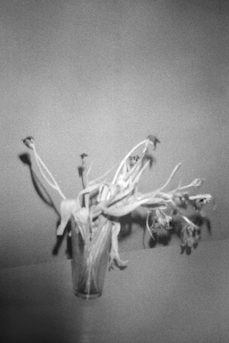 © Youvalle Levy - Image from the Moonlighting : traces and found objects photography project