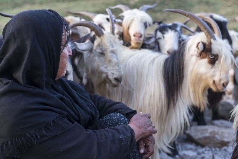 © Rachele Caretti - Image from the Nomads of Iran photography project