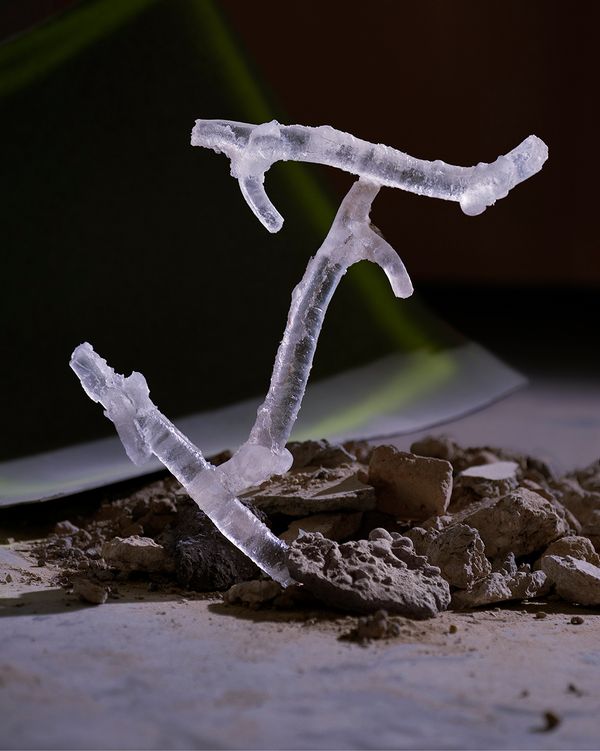 © Philip Tsetinis - RELICT