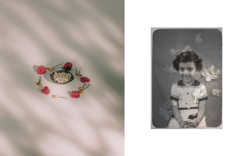 © Sarah Chandy - Image from the Lilies in the Garden of Tomorrow photography project