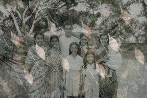 Lilies in the Garden of Tomorrow