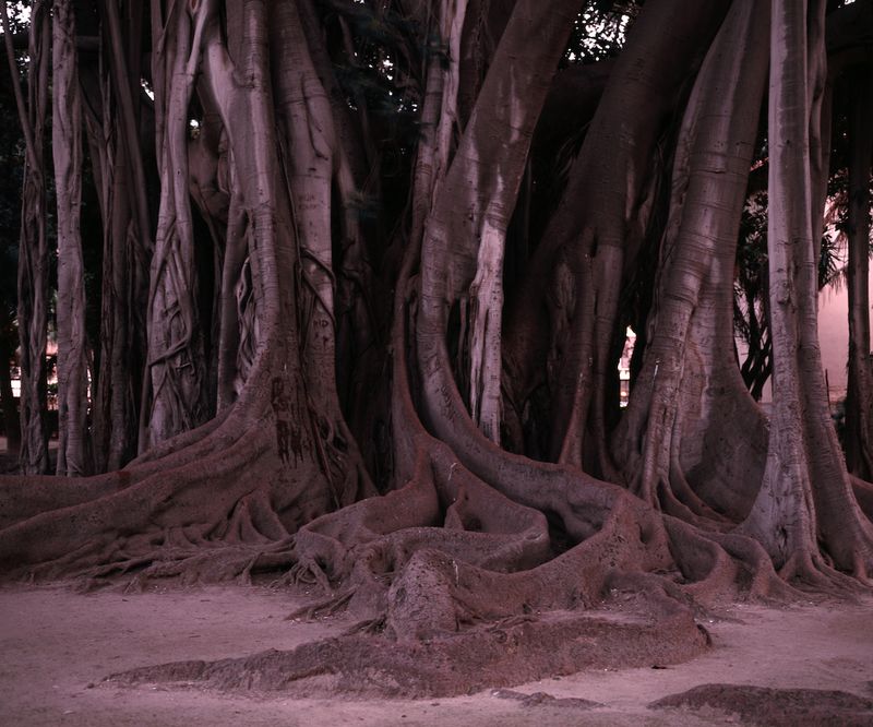 © Georges Salameh - Image from the Isolitudine photography project