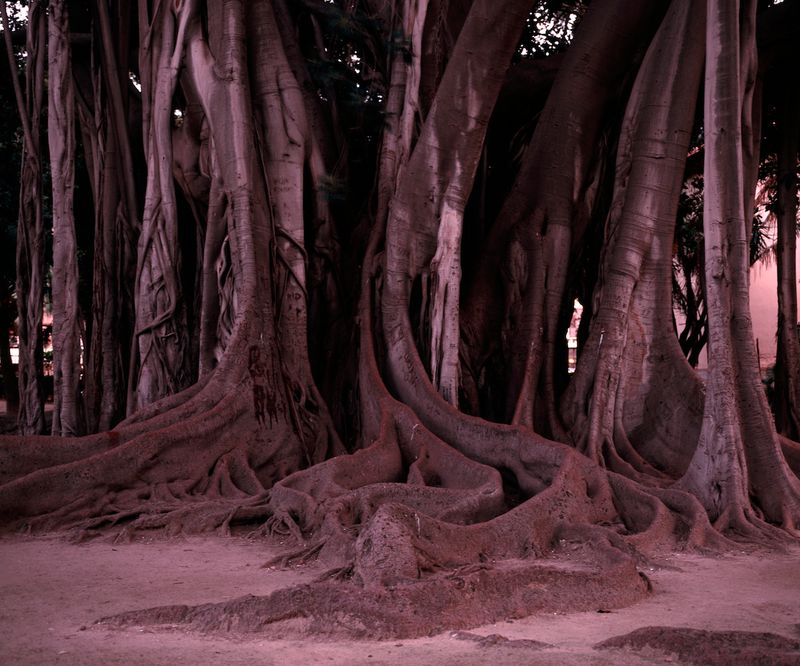 © Georges Salameh - Image from the Isolitudine photography project