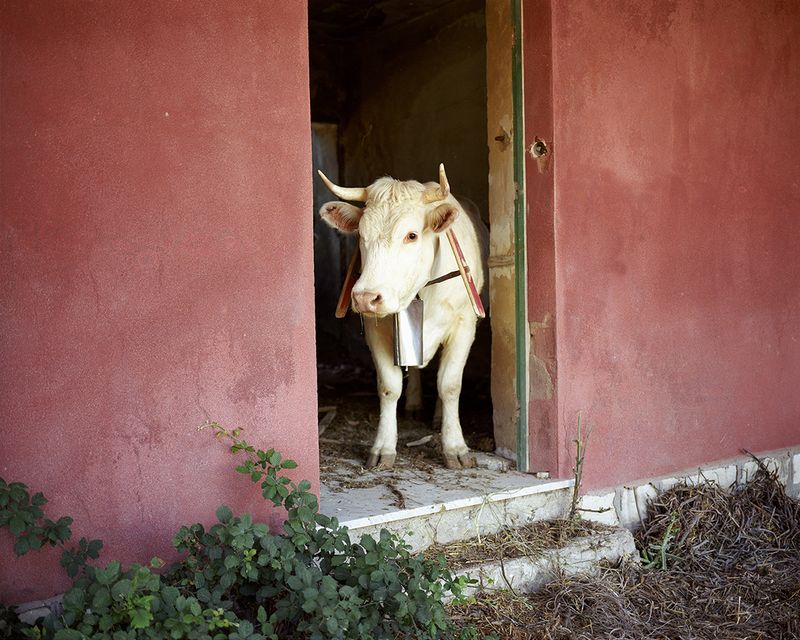 © Georges Salameh - Image from the Isolitudine photography project