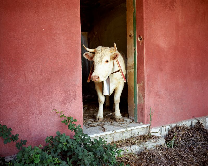 © Georges Salameh - Image from the Isolitudine photography project