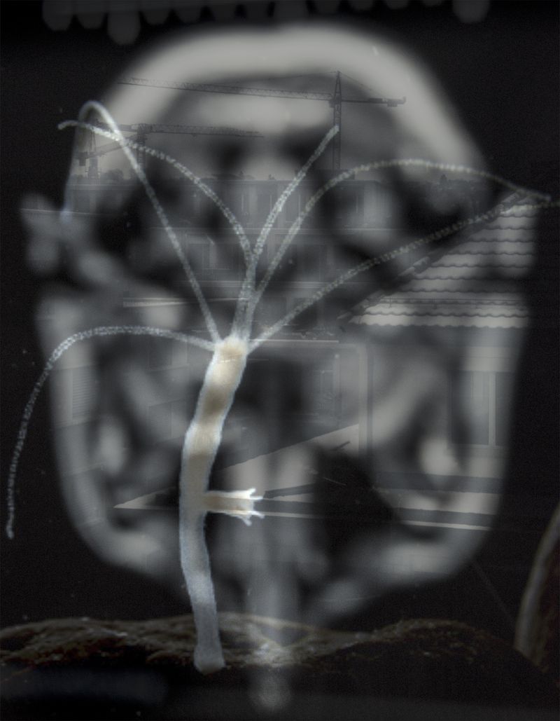 © Florence Iff - Gilgamesh Revisited / Ereshkigal